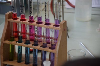 Farben im Rotkohl