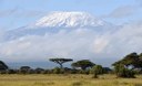 Kilimandscharo1