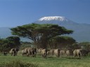 Kilimandscharo2
