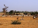 Sahelzone Mali