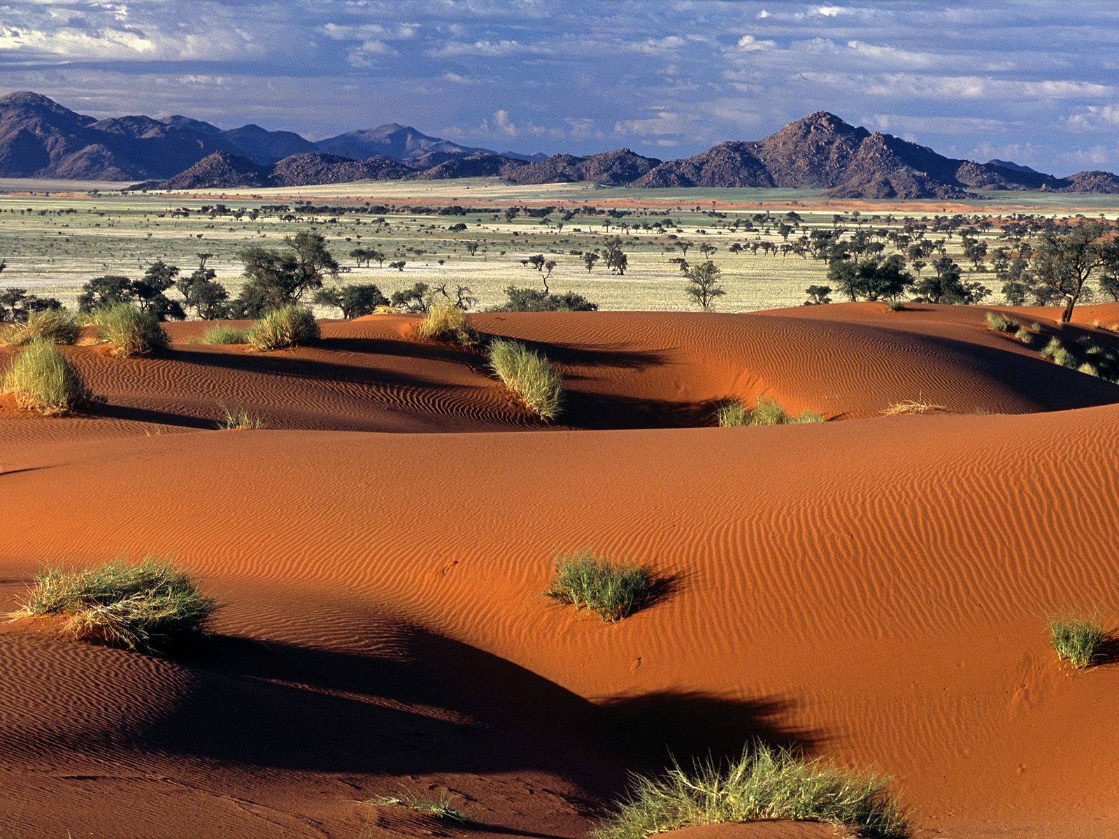 Namib