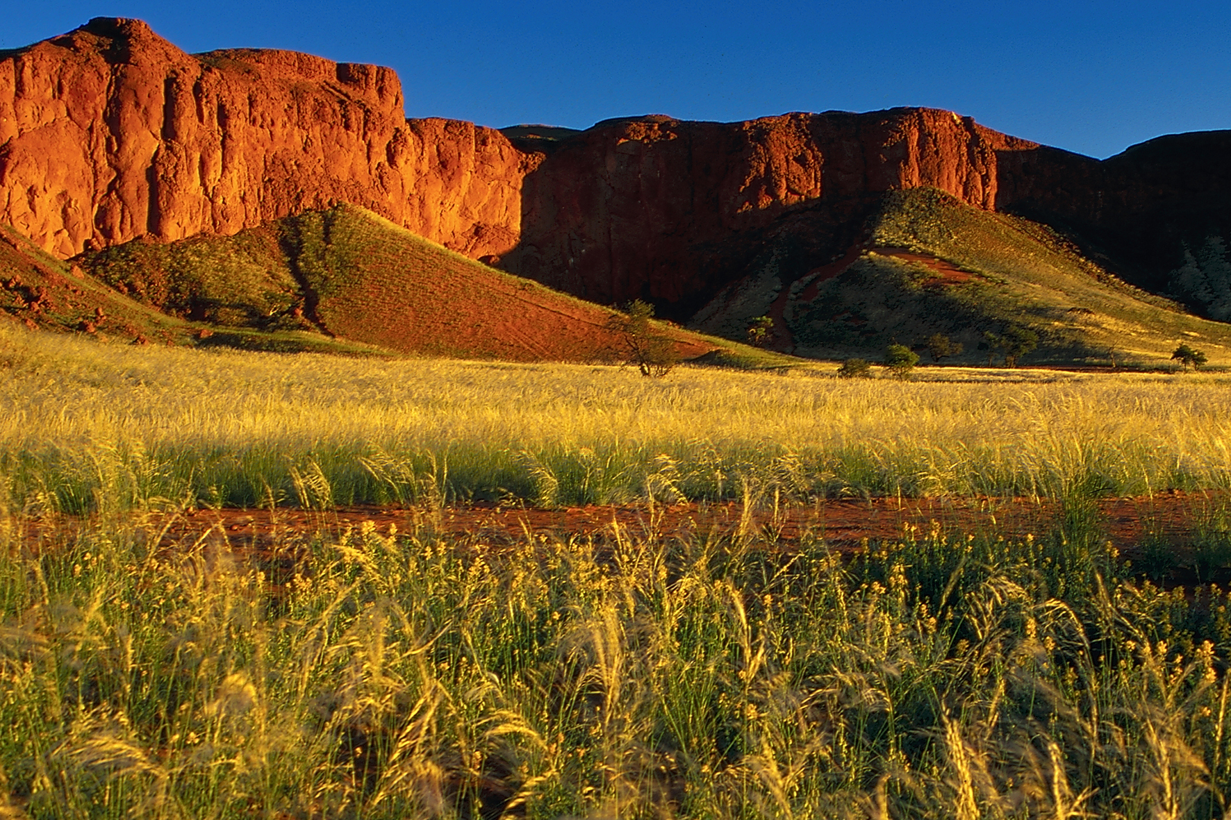 Namib